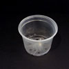 6" Crystal Clear Orchid Pot